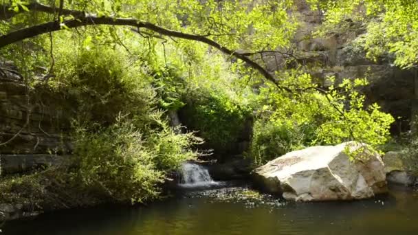 Botswana Waterfall Moremi — Stock Video