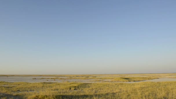 Makgadikgadi Pan Botswana — Video Stock