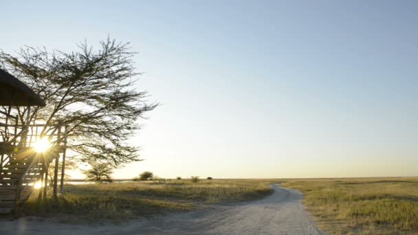 Makgadikgadi 소금 팬 — 비디오