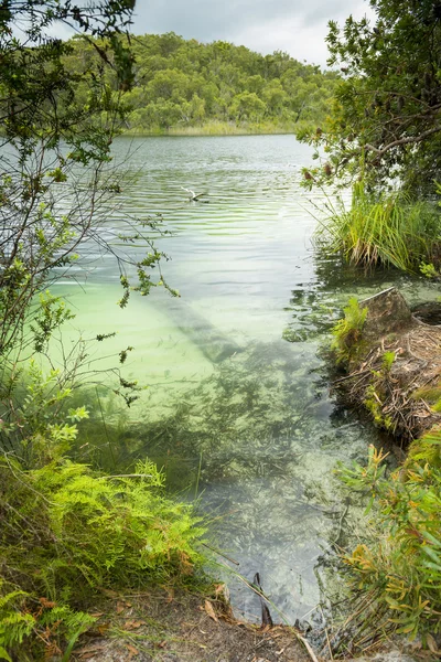 Сині озера Stradbroke острів — стокове фото