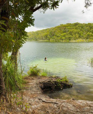 Mavi Göl Stradbroke Adası Yüzme