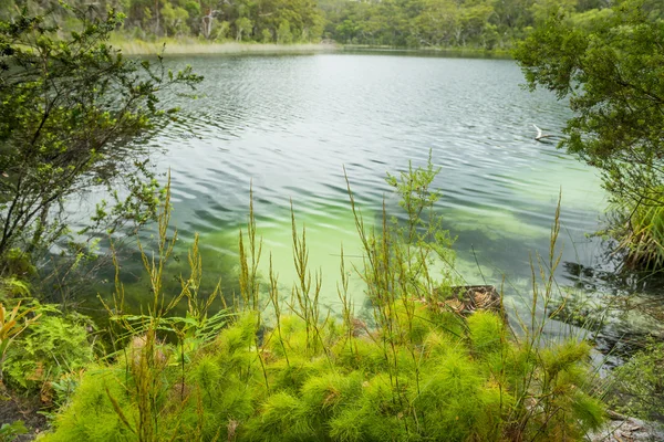 Lac d'eau douce — Photo