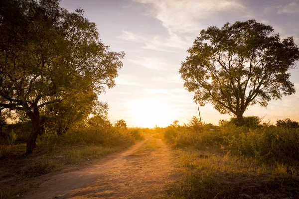 Road In Botswana — Stockfoto