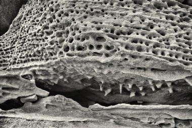 Taş süslü doğal desenler