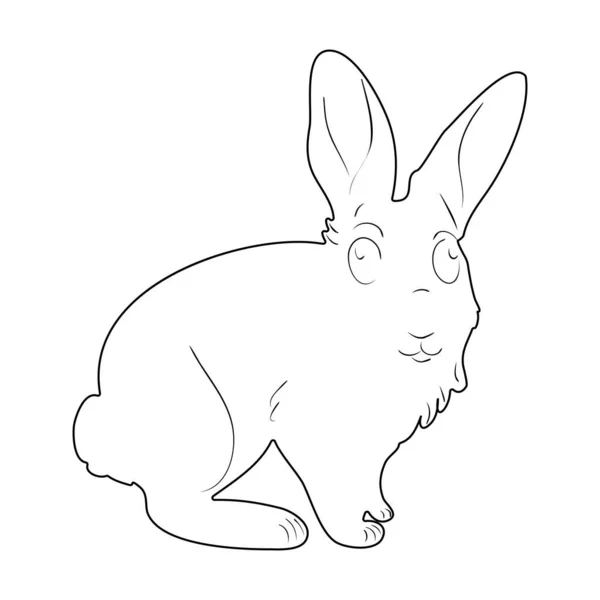 小兔子的黑色轮廓。在向量中的兔子轮廓。复活节兔子。可用作节日装饰、明信片、商店橱窗、标志的模板或模板. — 图库矢量图片