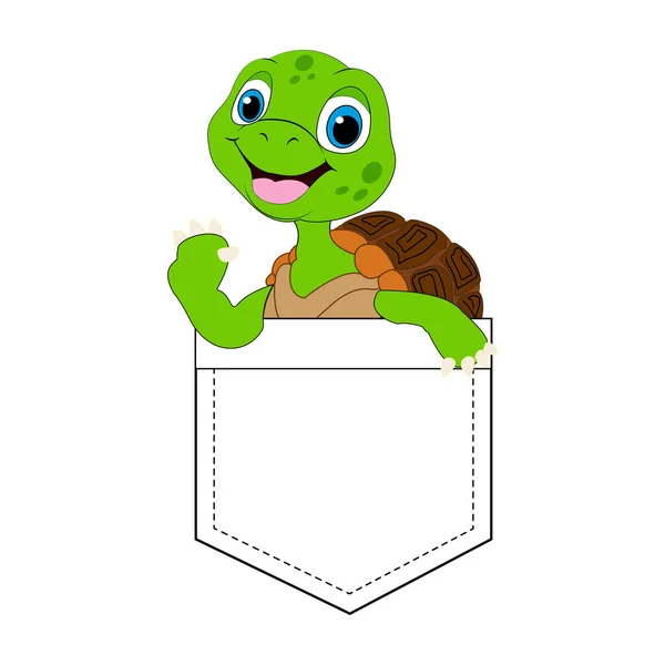 Carino il cartone animato delle tartarughe. T-shirt Graphic.Animal progettazione vettoriale. — Vettoriale Stock