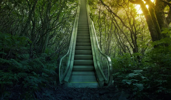 Escalera mecánica en el bosque — Foto de Stock