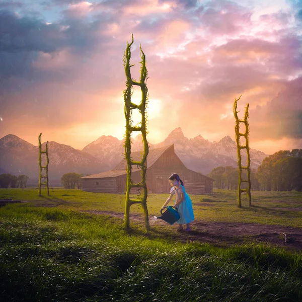 Una Niña Está Una Granja Regando Plantas Forma Escaleras — Foto de Stock