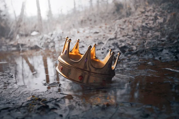 扔在地上的王冠躺在泥泞的溪流中 — 图库照片