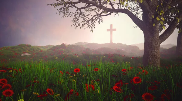 Yaban Çiçeklerinin Otlağında Tek Bir Haç — Stok fotoğraf