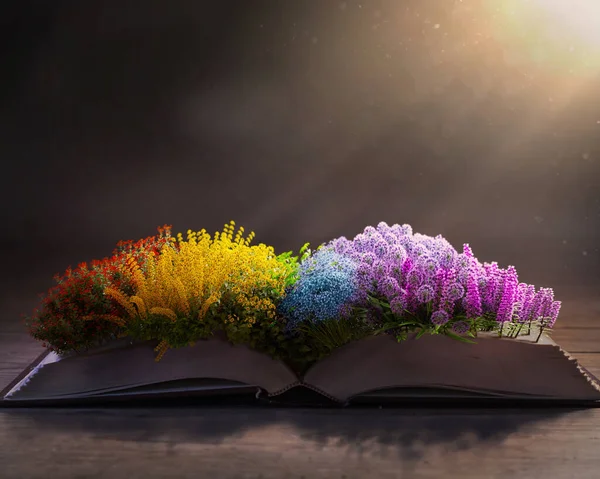 Kleurrijke Bloemen Rusten Bovenkant Van Pagina Van Een Open Bijbel — Stockfoto