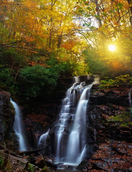 Прекрасний схід сонця з високим водоспадом в лісі — стокове фото