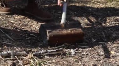 Adam yakacak odun için baltayla balta kesiyor.