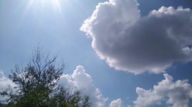 Zaman geçiyor, çalılar ön planda, beyaz bulutlar gökyüzünde uçuyor.