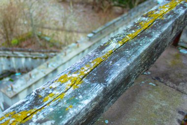 Terk edilmiş bir merdivende liken ile tırabzan, bulanık arkaplan