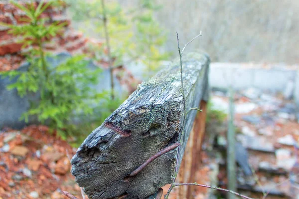 Poręcz Zardzewiałym Gwoździem Ruinach Budynku Zbliżenie — Zdjęcie stockowe