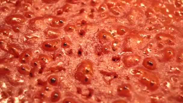 煮沸蔬菜红番茄酱的密闭工艺 — 图库视频影像