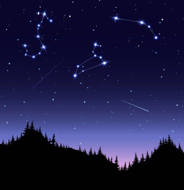Zodiac takımyıldızları düz vektör çizimi. Akrep, Aslan ve Koç yıldızlı gökyüzünde. Gece vakti, karanlık, parlayan gök cisimleri, ışıldayan yıldızlar ve kozalaklı ormanın altında meteorlar..
