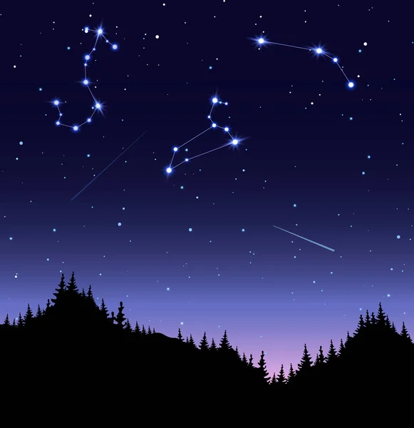 星座平ベクトルイラスト。スコーピオ、レオと牡羊座の星空。夜、暗闇、輝く天体、輝く星、針葉樹林の下の流星. — ストックベクタ