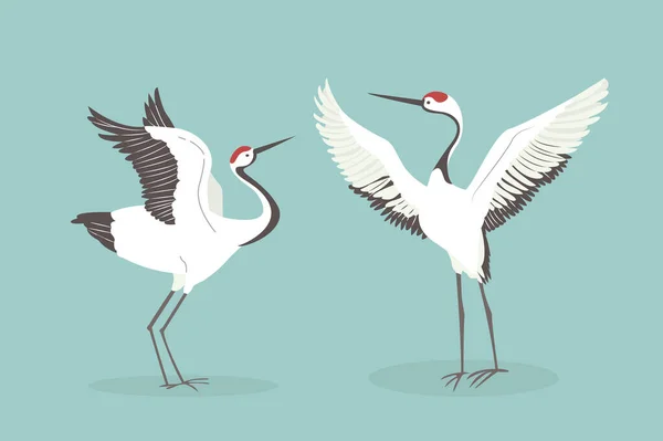Červený korunovaný jeřáb mává křídly kreslené vektorové ilustrace. Mating dance of birds — Stockový vektor