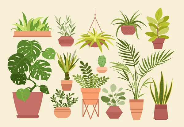 Planta em conjunto de ilustração de vetor de panela, desenhos animados planos diferentes plantas de casa decorativas em vasos interiores para decoração de interiores ou escritório isolado. Hygge e plantas de design escandinavo em vasos. — Vetor de Stock