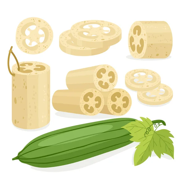 Set de ilustración vectorial de esponja Loofah, colección de loofa plana de dibujos animados con accesorio de baño orgánico para íconos de cuidado de la piel corporal exfoliante aislados en blanco — Archivo Imágenes Vectoriales