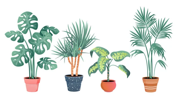 Tropiska hus växter inredning vektor illustration set, tecknad platt krukväxt från tropikerna botaniska samling i lera potten isolerad på vit — Stock vektor