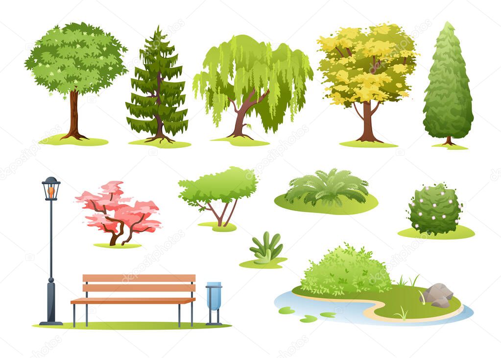 Forest and park trees vector illustration. Cartoon various green summer deciduous and evergreen trees, bushes with flowers, fern and park or garden wooden bench, landscape collection isolated on white
