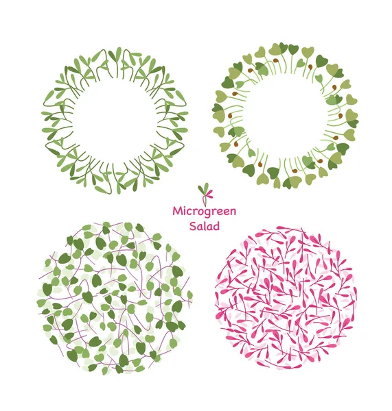 Micro greens food circle grafisch ontwerp, eco logo blad set — Stockvector