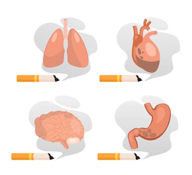Harm of smoking to lungs stomach brain heart set, stop smoking isolated on white clipart