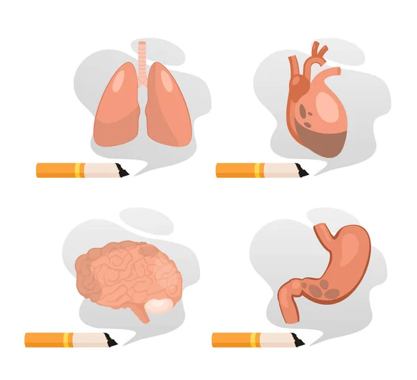 Daño de fumar a los pulmones corazón del cerebro del estómago conjunto, dejar de fumar aislado en blanco — Archivo Imágenes Vectoriales