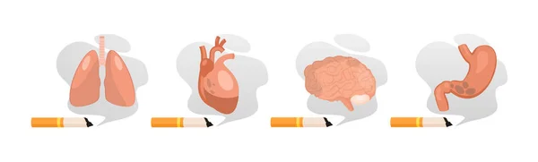 Les méfaits du tabagisme. Mauvaise habitude de fumer et dommages pour les organes, cancer des poumons, maladies cardiaques, maladies du cerveau et de l'estomac, fumée de cigarette toxique. — Image vectorielle