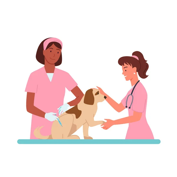 수의학 벡터 ( 영어 ) Cartoon vet doctor character in pink medical uniform work, holding dog domesolated animals on white. — 스톡 벡터
