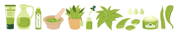 Planta suculenta verde del jugo de la historieta, gotita orgánica del gel de las hojas del aloe, crema natural, envase del suero y de los productos del aceite. Aloe vera cosmética belleza cuidado de la piel vector ilustración conjunto. — Archivo Imágenes Vectoriales