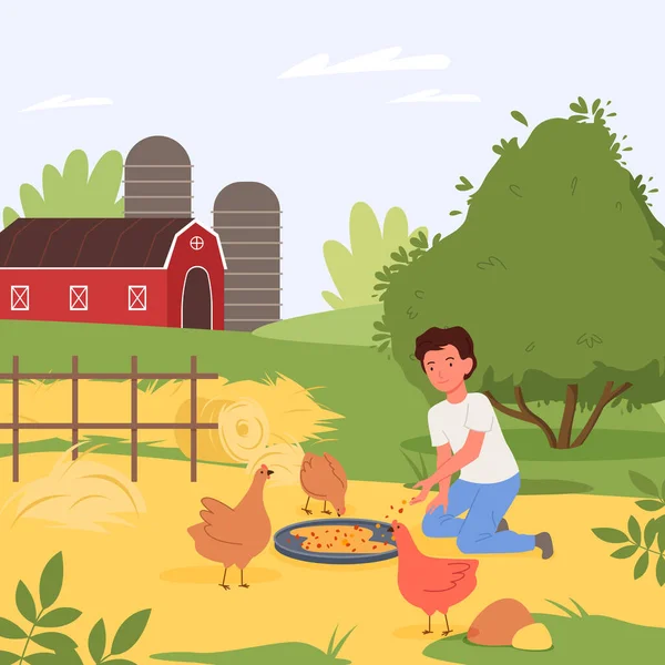 Farm birds feeding, village landscape, happy boy helping to feed chickens in barnyard — Stock Vector