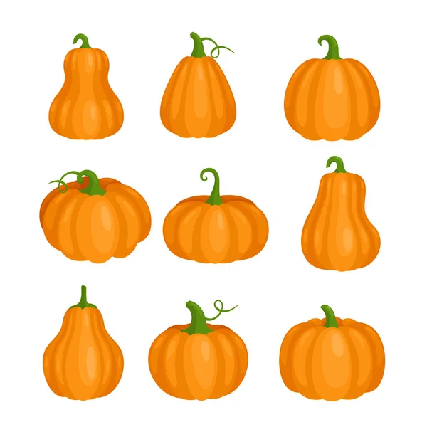 Pumpa uppsättning för Halloween fest, orange söt pumpa clipart samling, falla gård squash — Stock vektor