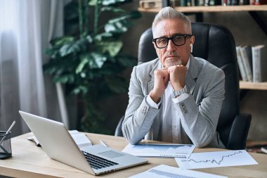 Belini kaldır ve rapor ve belge kullanırken dizüstü bilgisayarla çalışan beyaz saçlı bir iş adamı ol. İş hayatı kavramı