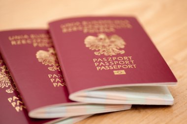 Polonya, Avrupa Birliği pasaportu