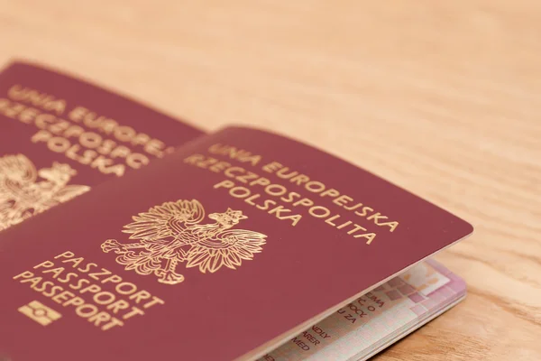 Польська, паспорти ЄС — стокове фото