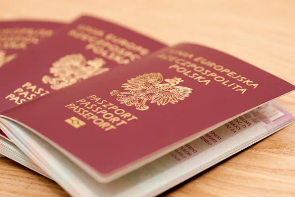波兰，欧洲联盟护照 图库照片