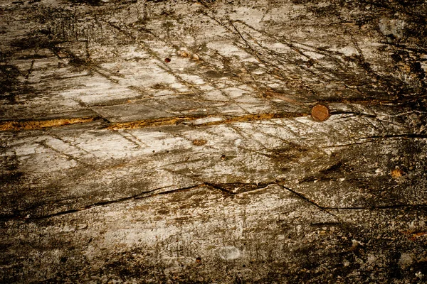 Weathered wood bakcground — Stock Photo, Image