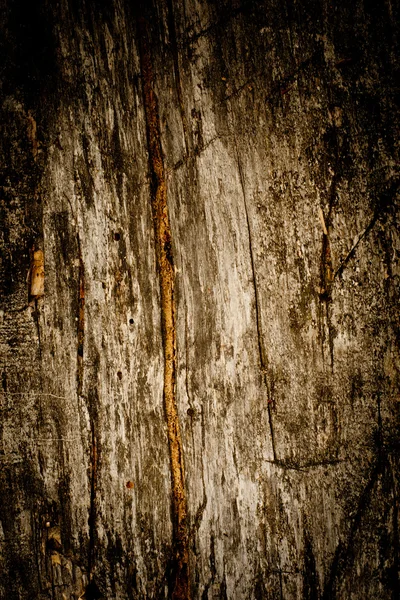 Pavimento em madeira desgastada — Fotografia de Stock