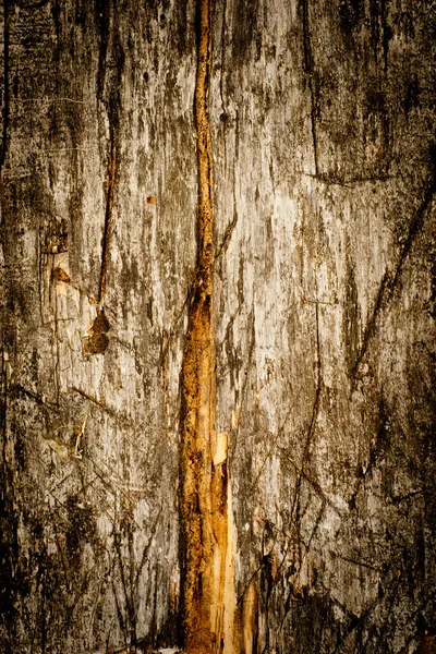 Weathered wood bakcground — Stock Photo, Image