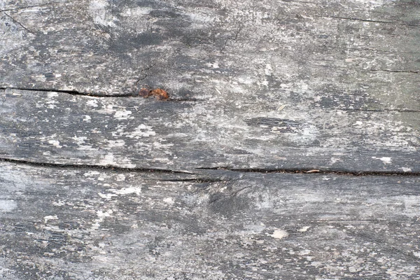 Weathered wood bakcground — Stockfoto