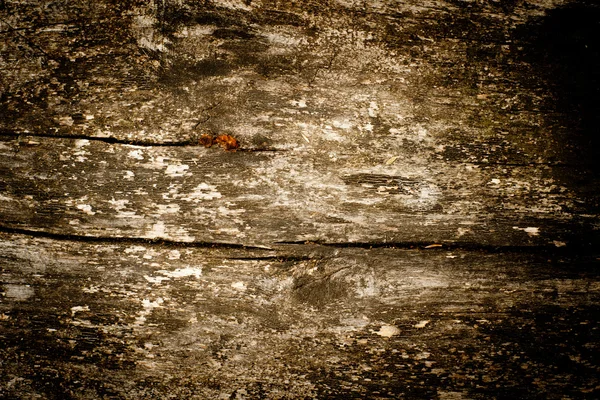 Weathered wood bakcground — Stockfoto