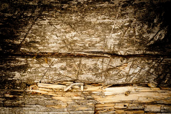 Pavimentazione di legno intemperie — Foto Stock