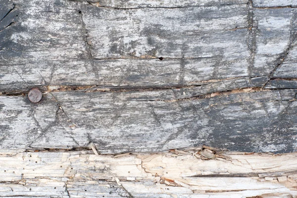 Метеоритний дерев'яний пекарний майданчик — стокове фото