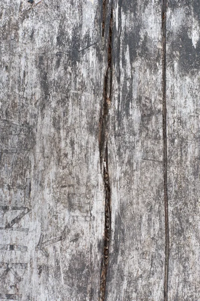 Pavimento em madeira desgastada — Fotografia de Stock
