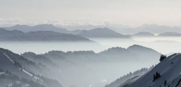 Kar Dağları Panorama 'da alçak bir ters vadi sisi var. Sisli Dağların siluetleri. Manzaralı karlı kış manzarası. Görüntü: Stuiben Swiss Alps, Allgau, Bavyera, Almanya. — Stok fotoğraf