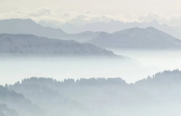 Alçaktan inişli çıkışlı vadi sisinde kar dağları. Sisli dağların ve ağaçların siluetleri. Manzaralı karlı kış manzarası. Görüntü: Stuiben Swiss Alps, Allgau, Bavyera, Almanya. — Stok fotoğraf